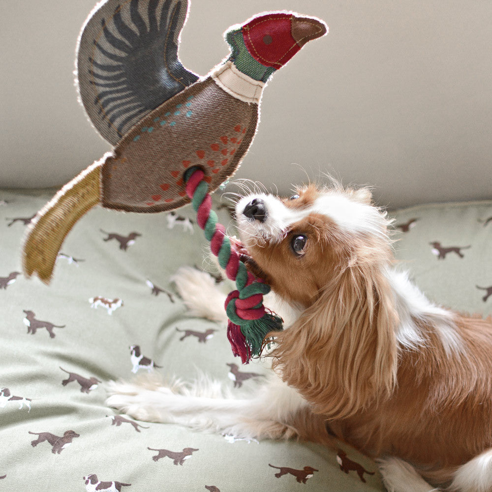 Sophie Allport Pheasant Rope Toy