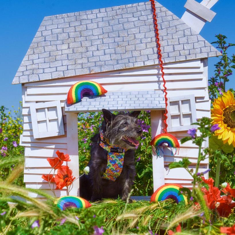 Hiro and Wolf Rainbow Squeaky Toy