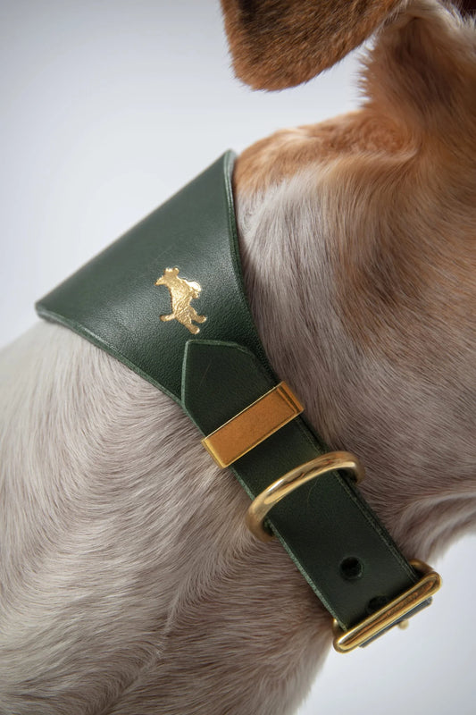 Storeys and Tails Leather Hound Collar
