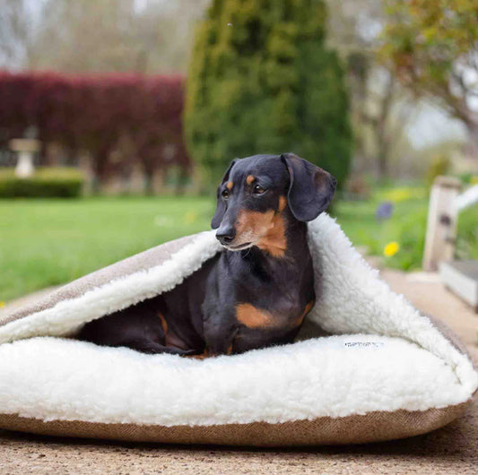 Designed For Dogs Doggy Den Bed