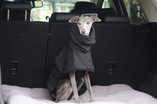 The Trendy Whippet Waterproof Winter Coat, Black