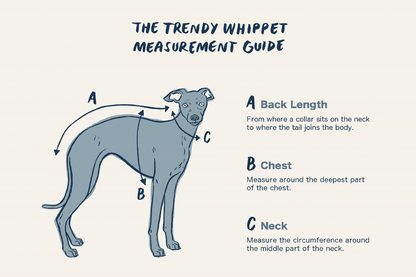 The Trendy Whippet Two-Tone Fleece Vest
