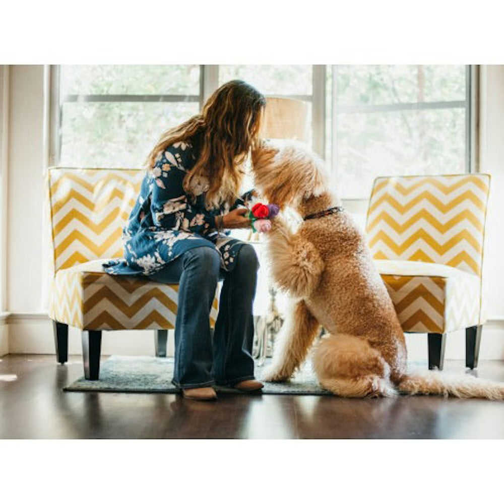 P.L.A.Y. Puppy Love Roses