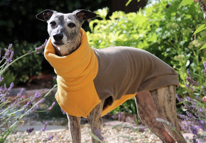 The Trendy Whippet Two-Tone Fleece Vest
