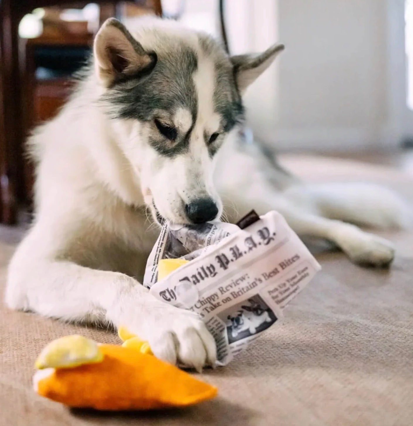 P.L.A.Y. Chippy Chews