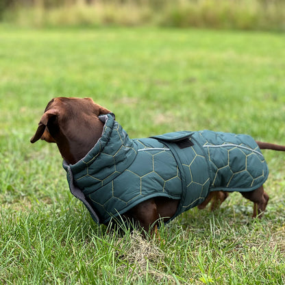 Luther Bennett Dachshund Waterproof Winter Coat