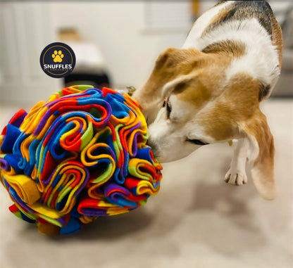 Snuffles Snuffler Ball