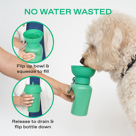 Springer Flip Water Bottle 578ml