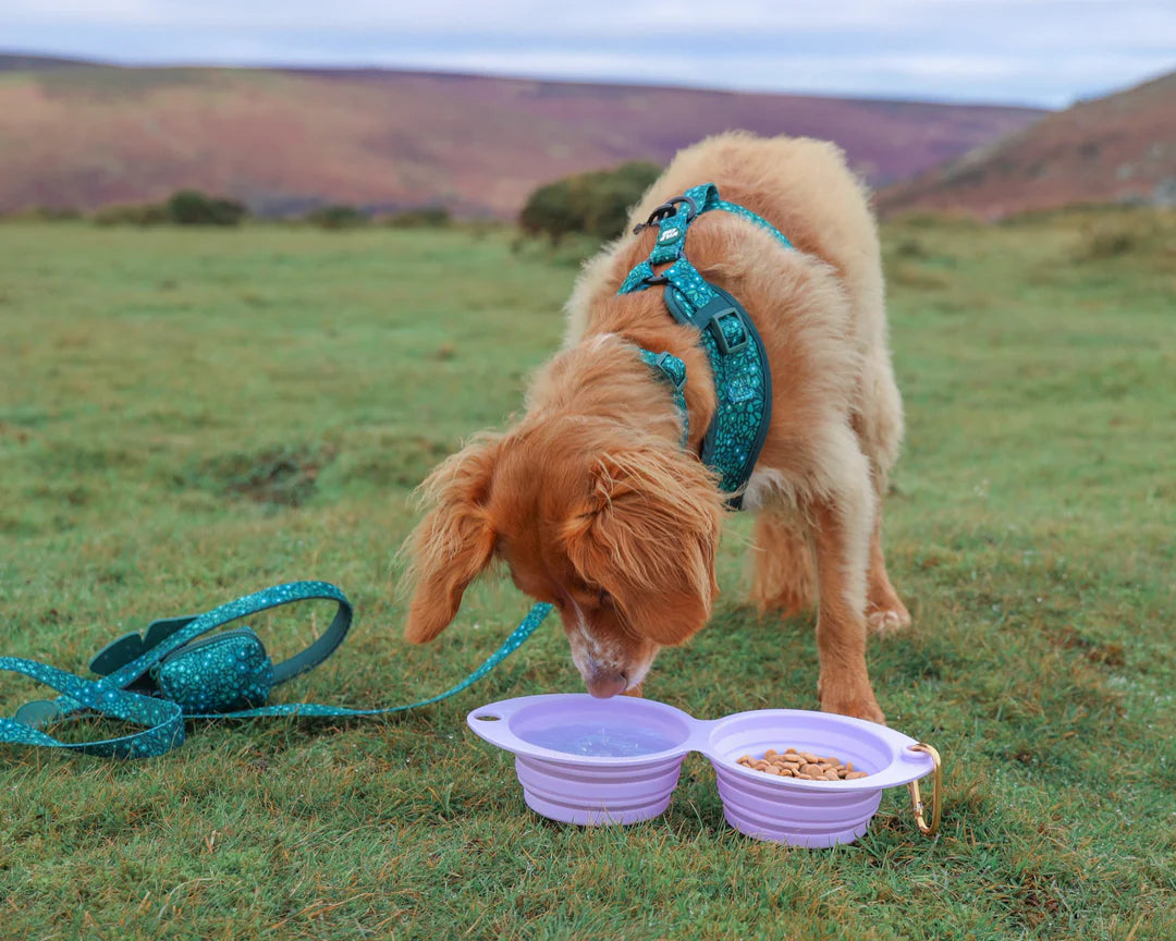 Wyld Cub’s Dual Collapsible Travel Dog Bowls