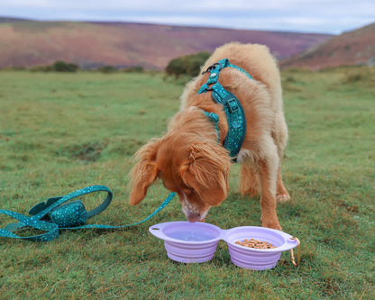 Wyld Cub’s Dual Collapsible Travel Dog Bowls