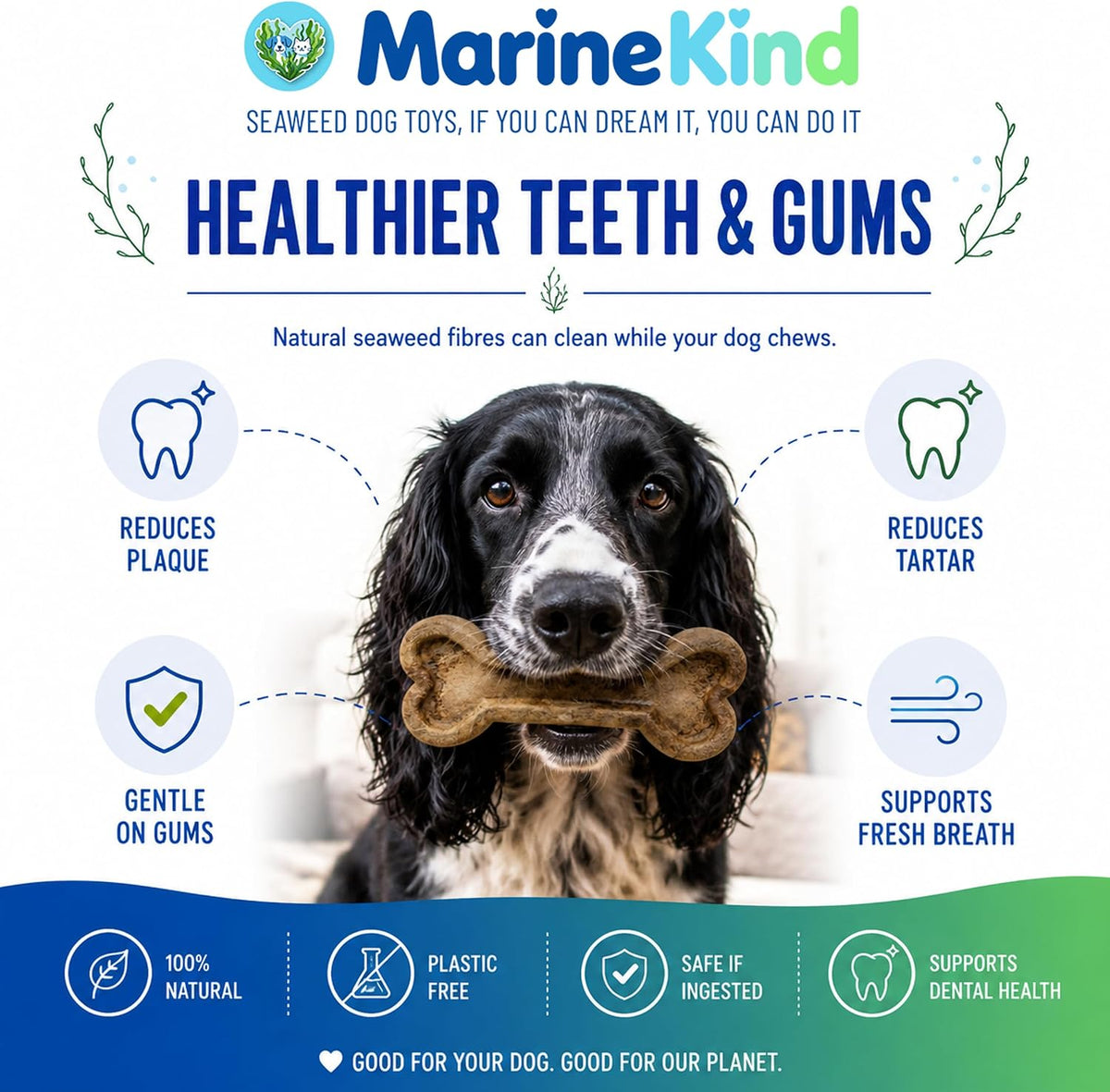 Marine Kind Kelpi Bone