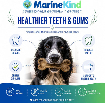 Marine Kind Kelpi Bone