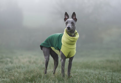 The Trendy Whippet Two-Tone Fleece Vest
