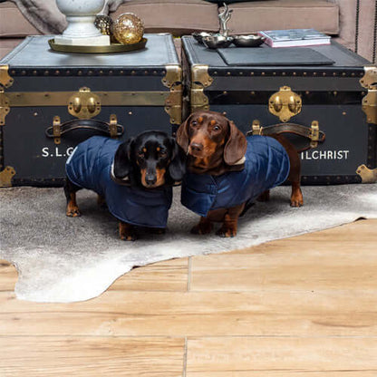 Mutts & Hounds Navy Quilted Coat