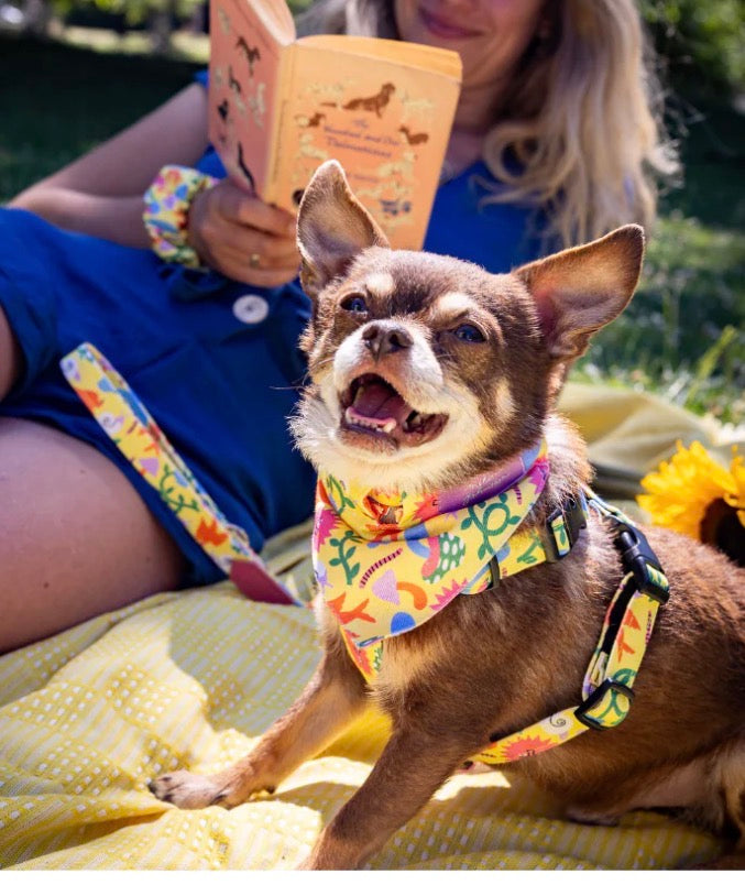 Hiro and Wolf Psychedelic Garden Bandana