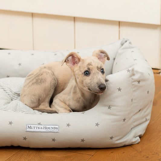 Mutts and Hounds Grey Stars & Charcoal Stripe Boxy Dog Bed