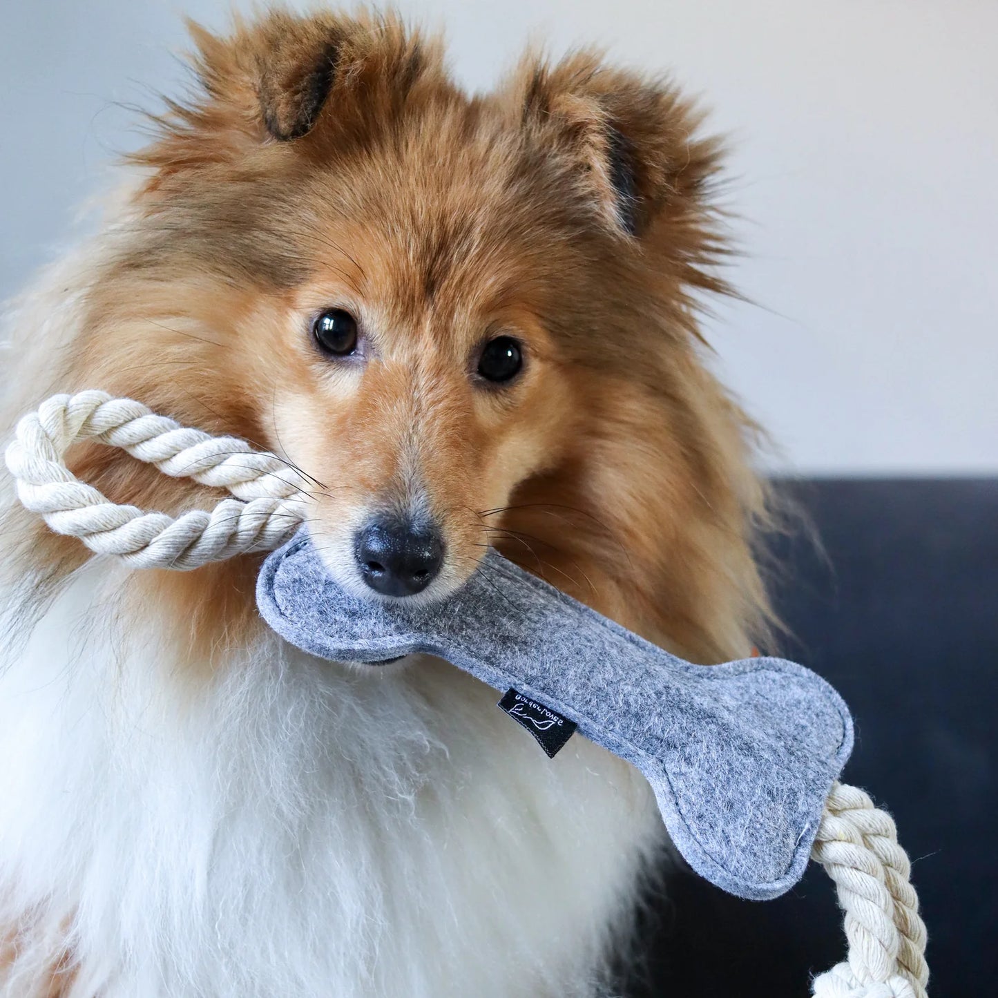 Border Loves Felt Bone & Rope Toy