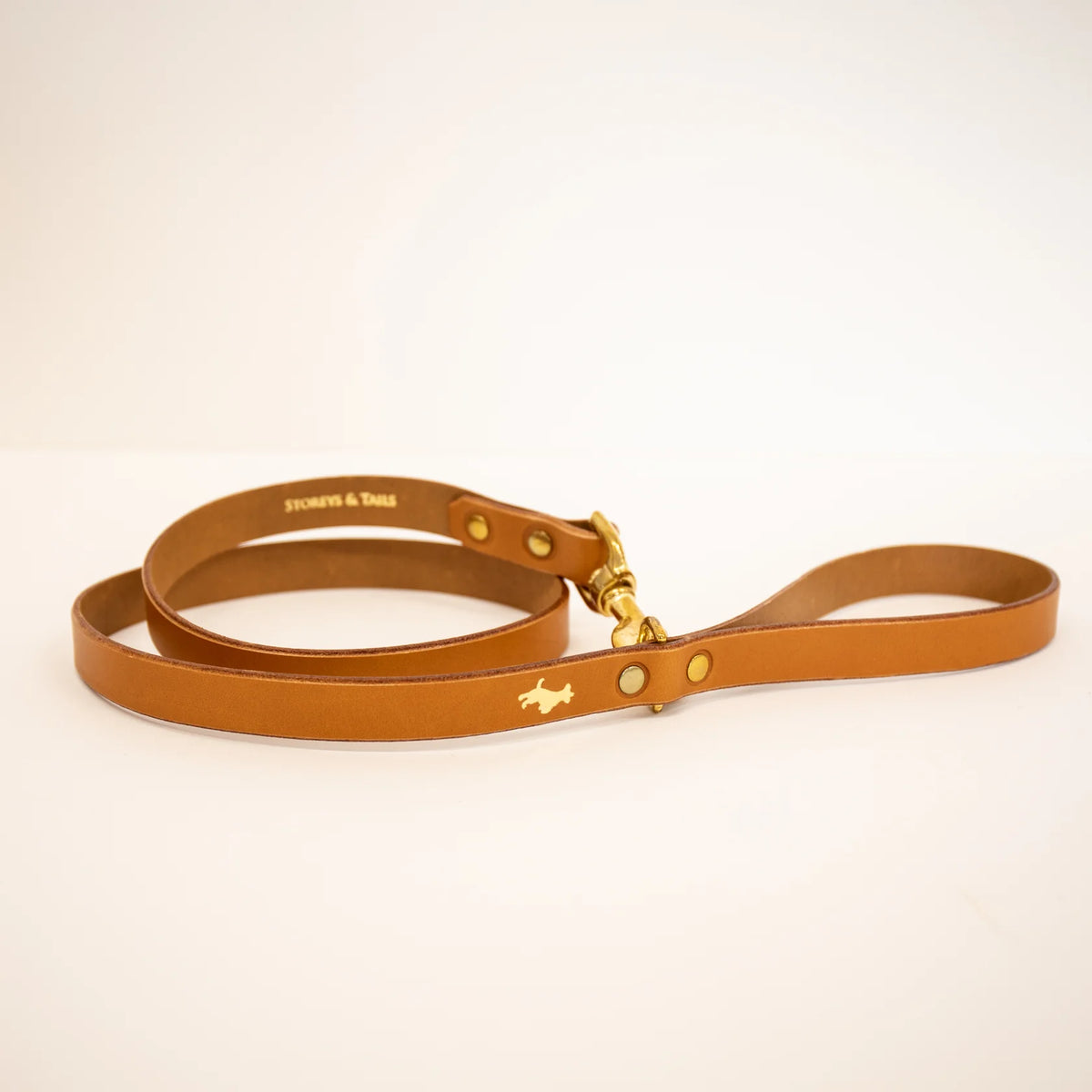 Storeys and Tails Leather Lead