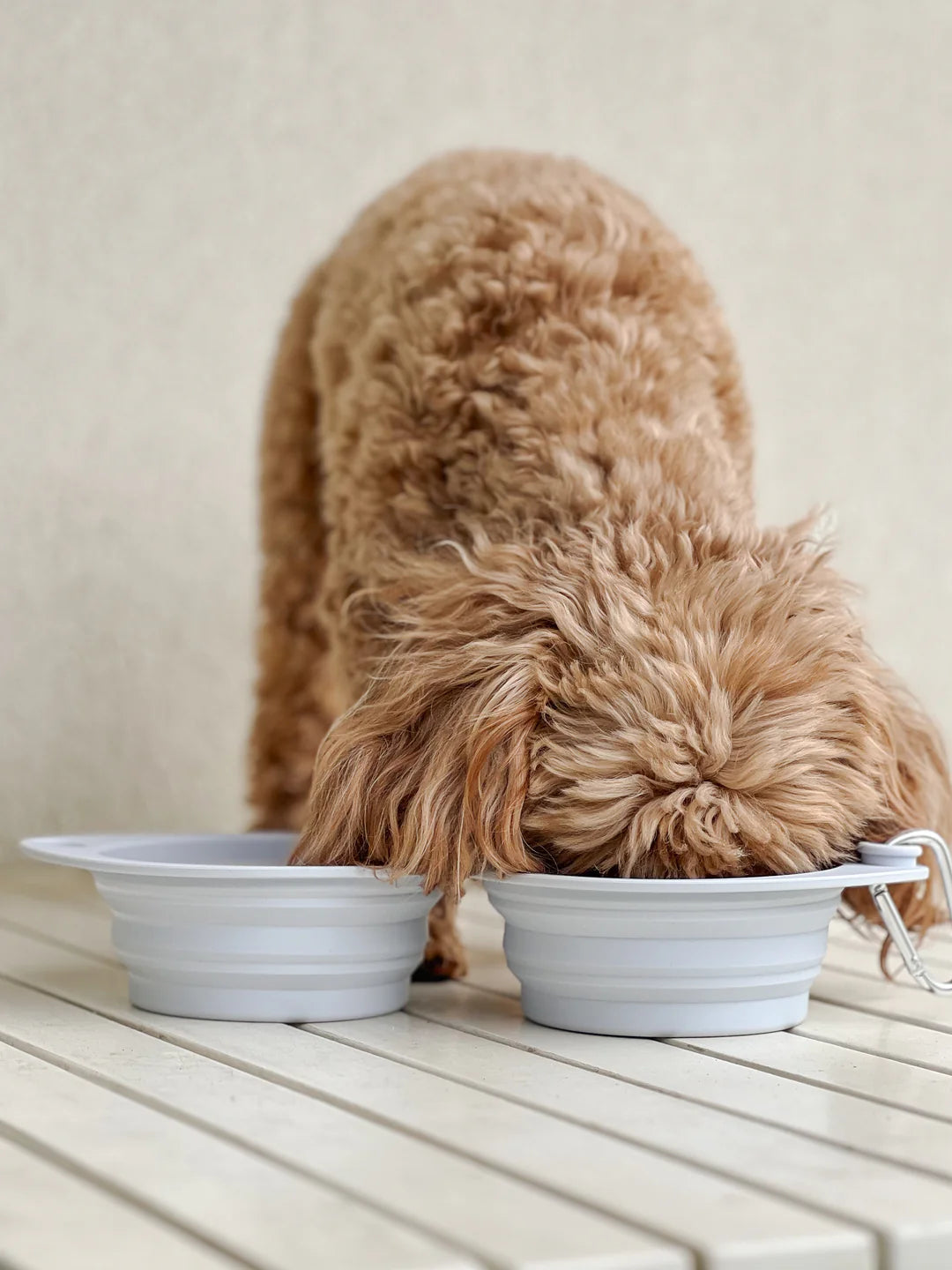 Wyld Cub’s Dual Collapsible Travel Dog Bowls
