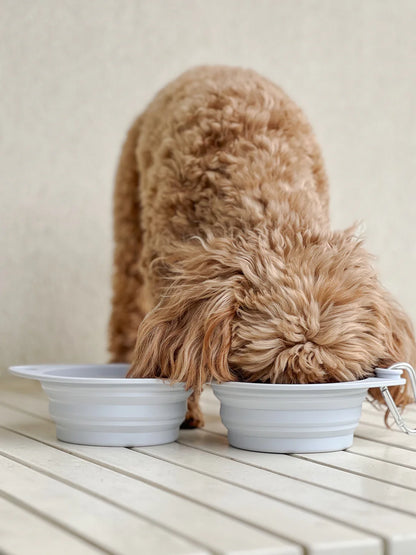 Wyld Cub’s Dual Collapsible Travel Dog Bowls