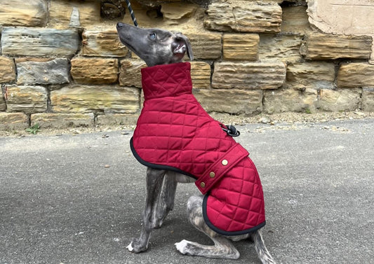 The Trendy Whippet Burgundy Quilted Waterproof Coat