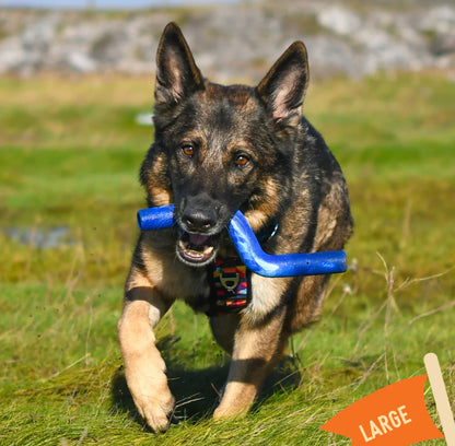 Twiggy Tags ZigZoom Large