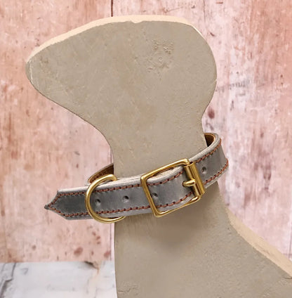 Redhound Puppy’s First Collar