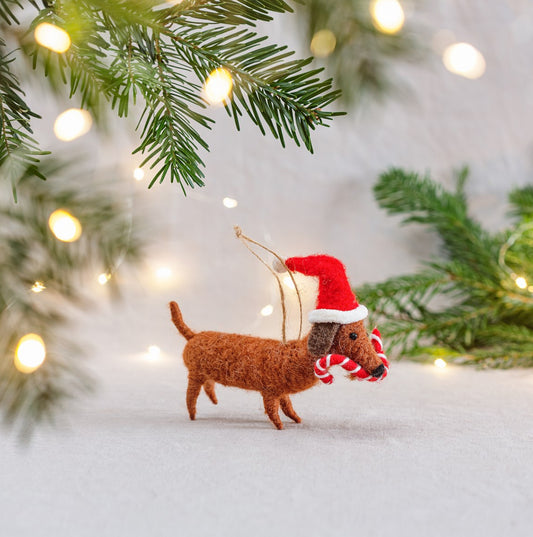 Sass & Belle Sausage Dog with Candy Cane Felt Hanging Decoration
