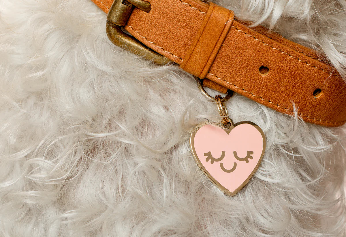 Two Tails Pet Company Tags