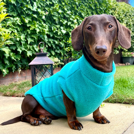 Pawsome Suits Fleece Tanki - Jade (Turquoise)