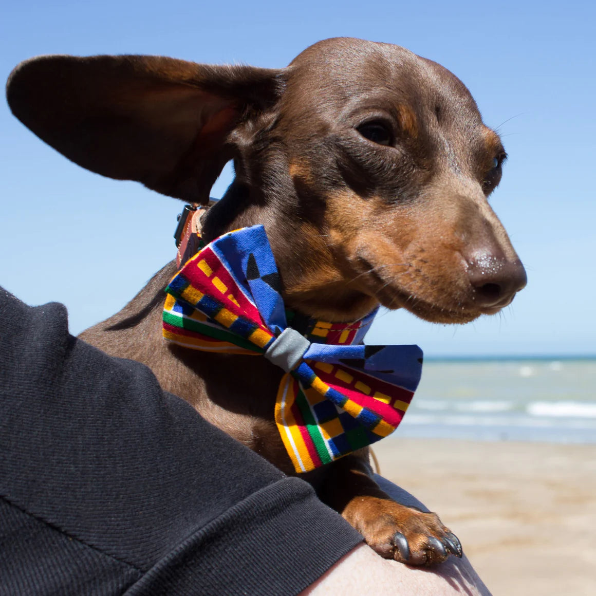 Hiro and Wolf Kente Bow Tie
