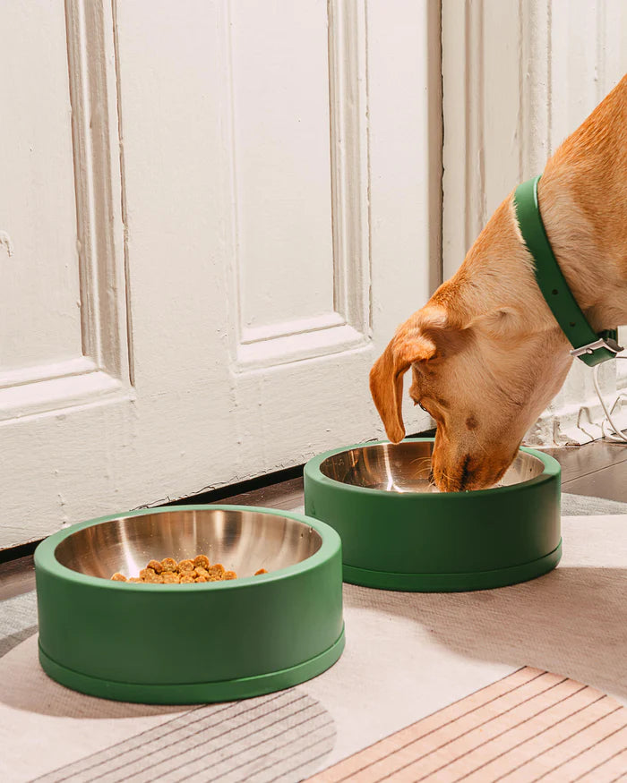 Wild One Dog Bowl