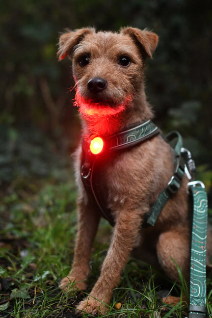 Twiggy Tags TrekBright Saftey Light