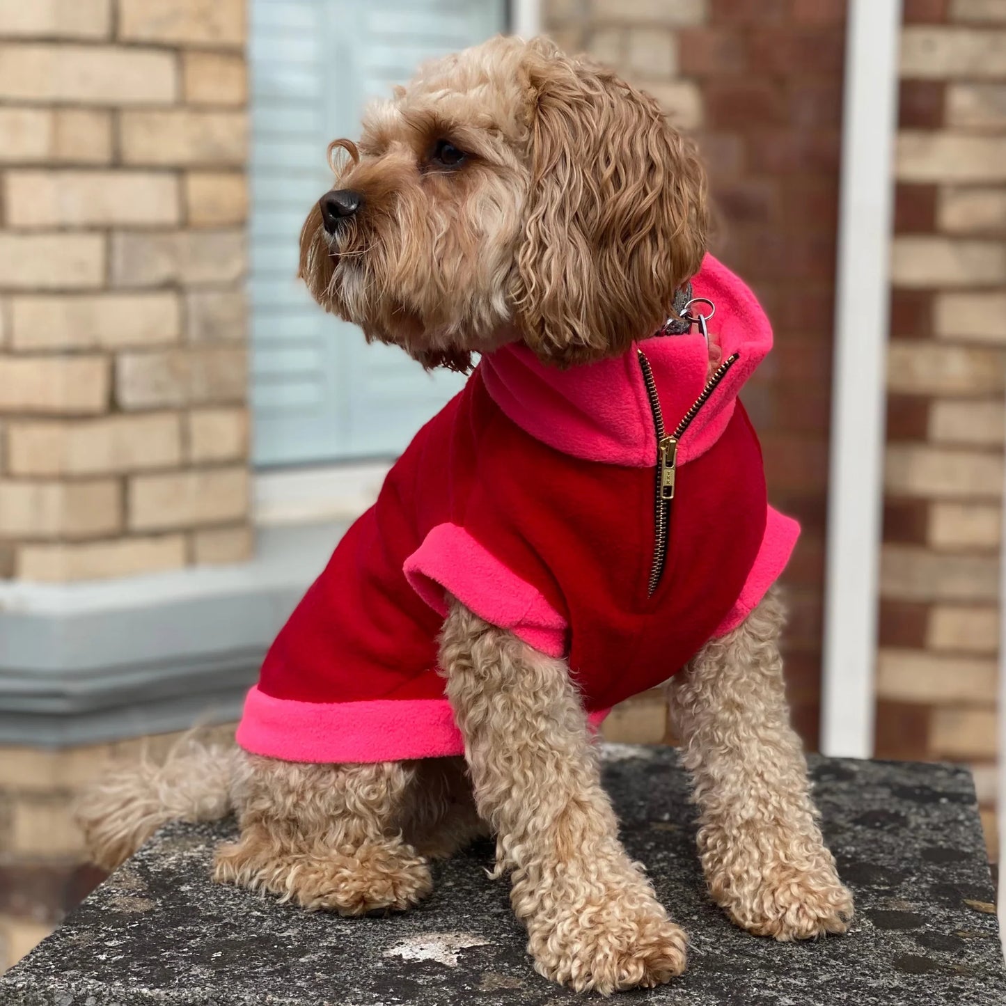 The Distinguished Dog Company Gatsby Fleece