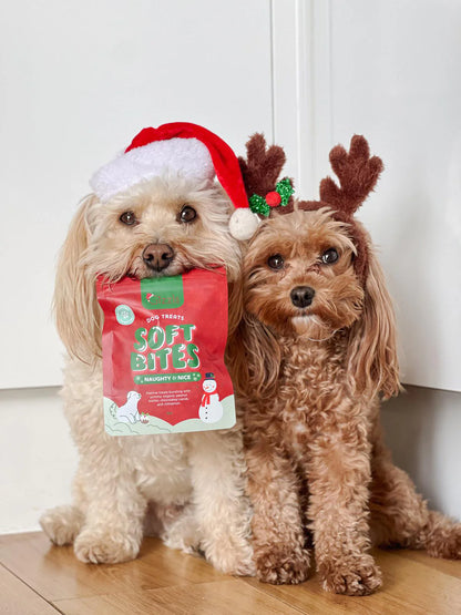 Gizzls Naughty & Nice Christmas Soft Dog Treats