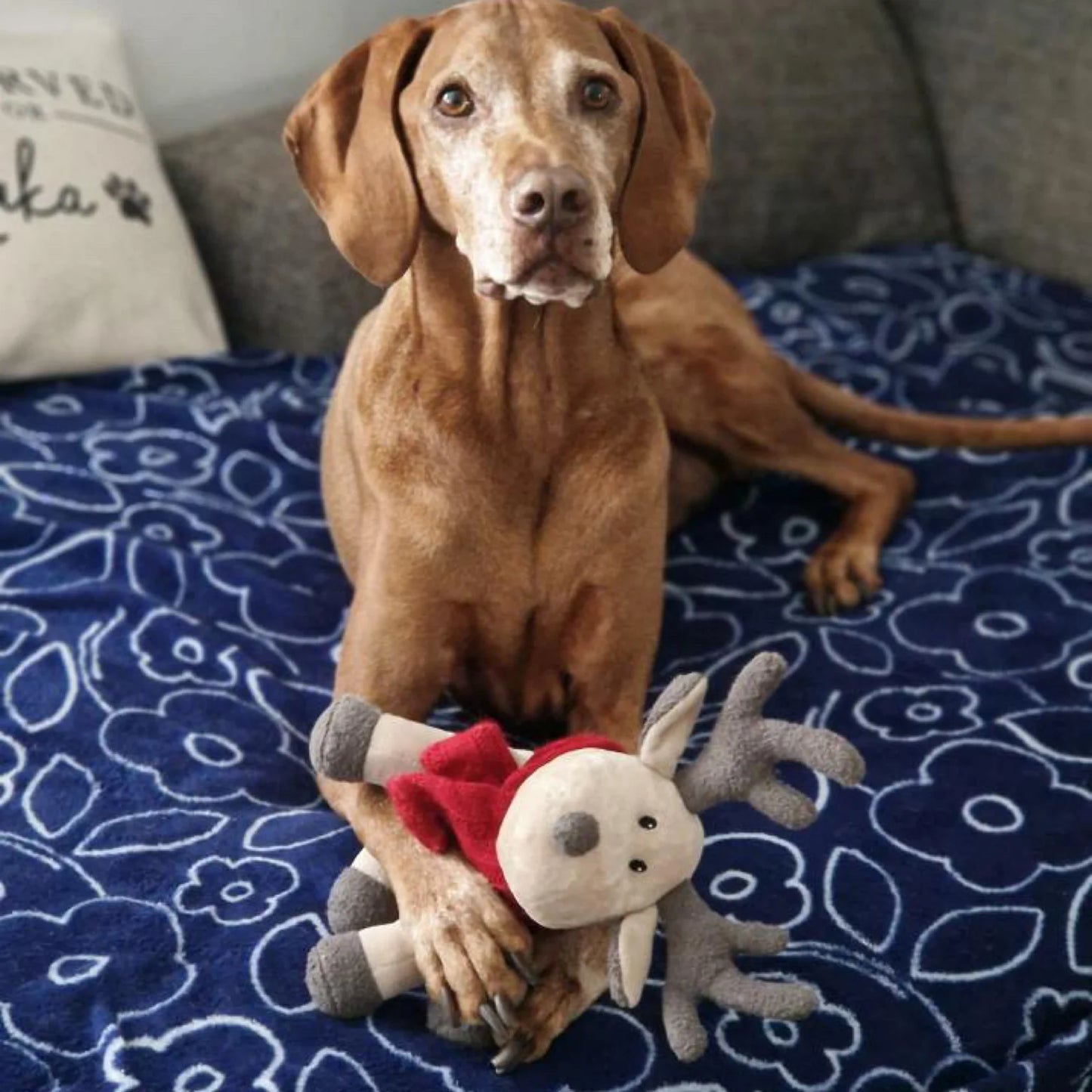Border Loves Plush Reindeer