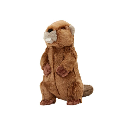 Fluff and Tuff Troy Beaver