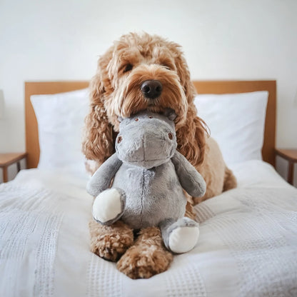 Border Loves - Potamo the Hippopotamus