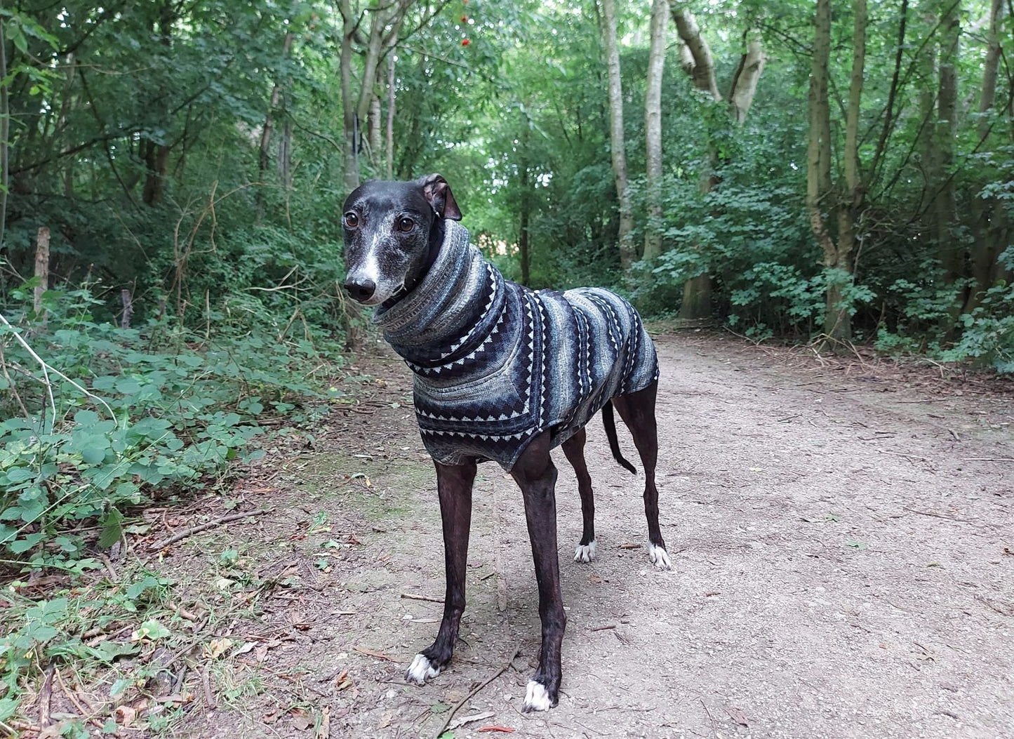 The Trendy Whippet Renzy Fairisle Jumper