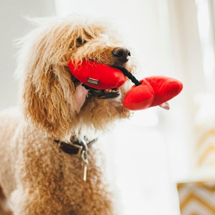 P.L.A.Y. Puppy Love Fur-ever Hearts