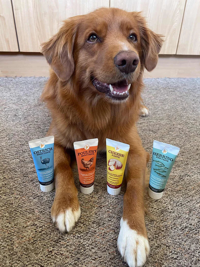 JR Pet Products Premium Paste
