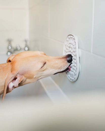 Wild For Dogs Bath-time Buddy, Grey