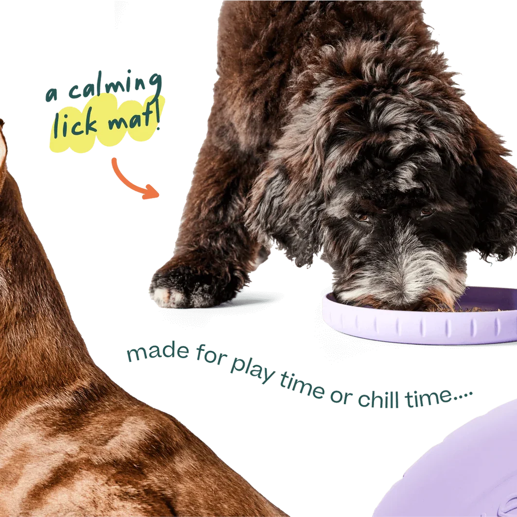 Woof Fly ‘n’ Feed Frizbee & Lick Mat