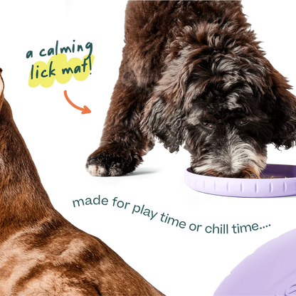Woof Fly ‘n’ Feed Frizbee & Lick Mat