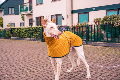 The Trendy Whippet Yellow Quilted Waterproof Coat