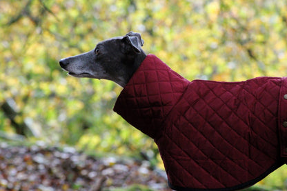 The Trendy Whippet Burgundy Quilted Waterproof Coat