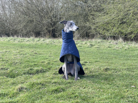 The Trendy Whippet Navy Quilted Waterproof Coat