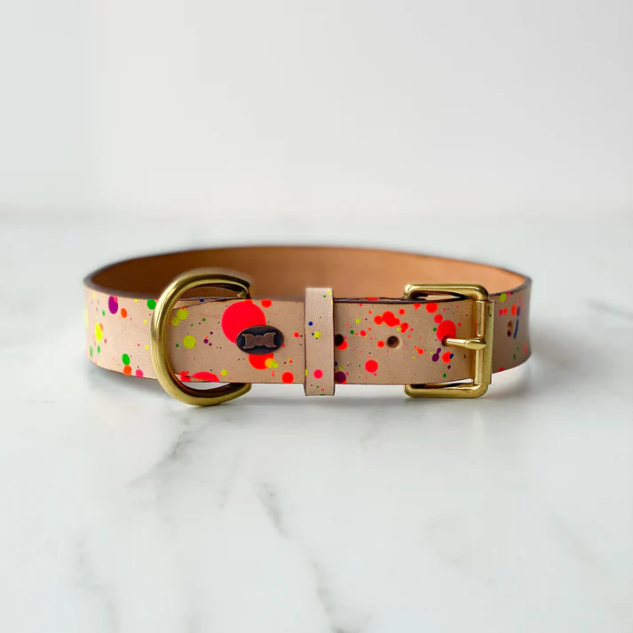 The Distinguished Dog Company Paint Box Collar