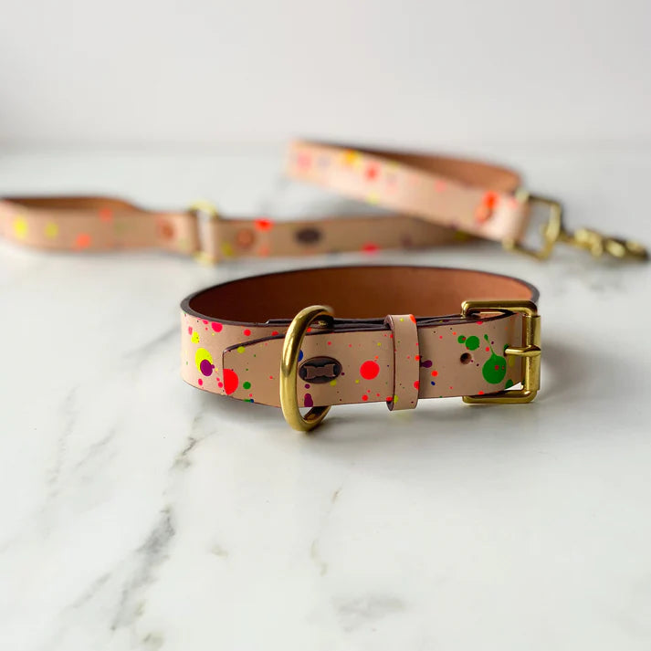 The Distinguished Dog Company Paint Box Collar