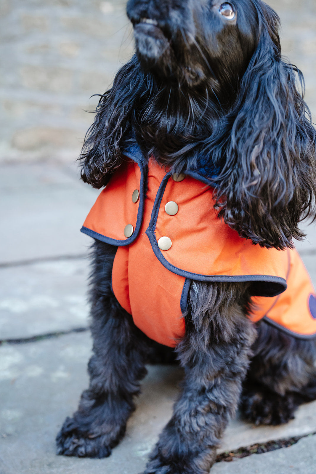 Winston James Woof Blood Orange Winter Jacket